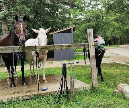 Palmerosa Horse & Hike Campground