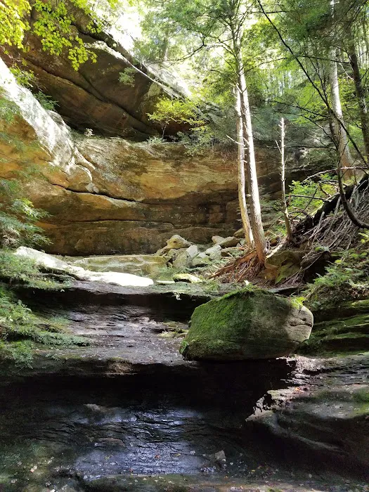 Palmerosa Horse & Hike Campground Picture 7