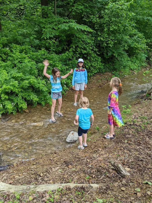 Tar Hollow State Park Ross Hollow Campground Picture 10