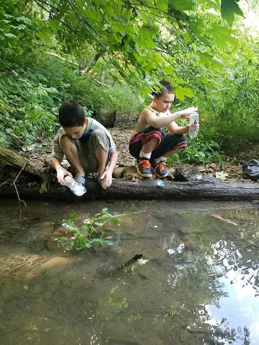 Tar Hollow State Park Ross Hollow Campground Picture 6