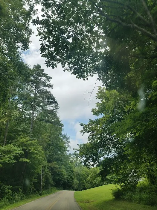 Tar Hollow State Park Ross Hollow Campground Picture 2