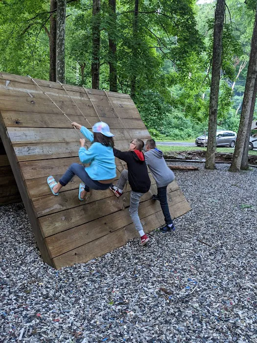 Tar Hollow State Park Ross Hollow Campground Picture 9