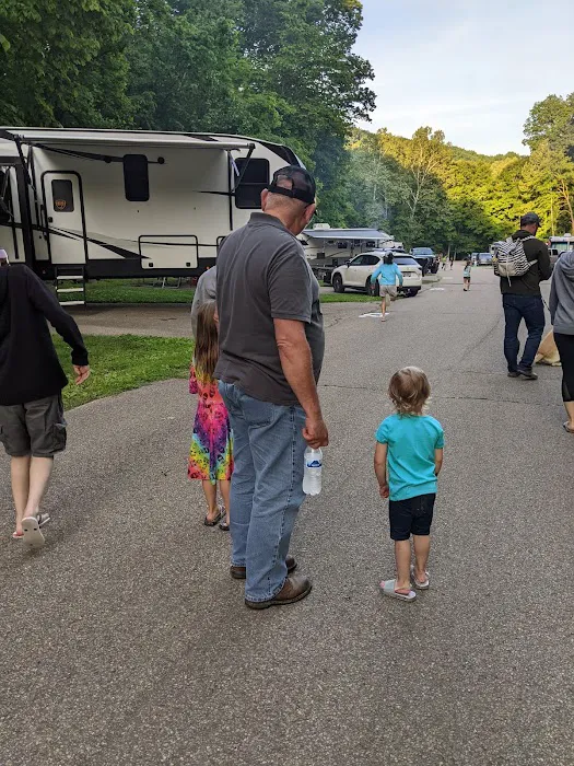 Tar Hollow State Park Ross Hollow Campground Picture 4