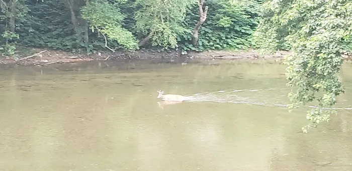 Katie's Kove Picture 2