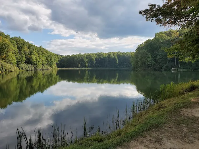 Babcock State Park Campground Picture 4
