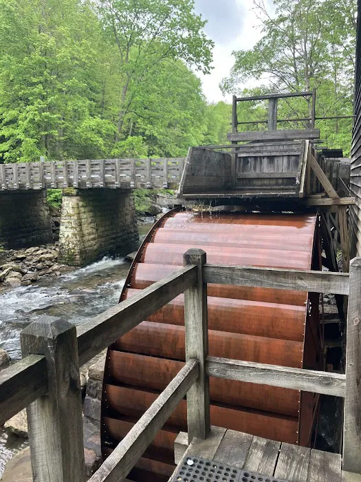 Babcock State Park Campground Picture 10