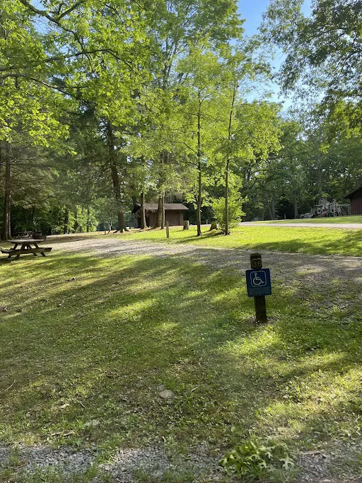 Babcock State Park Campground Picture 9