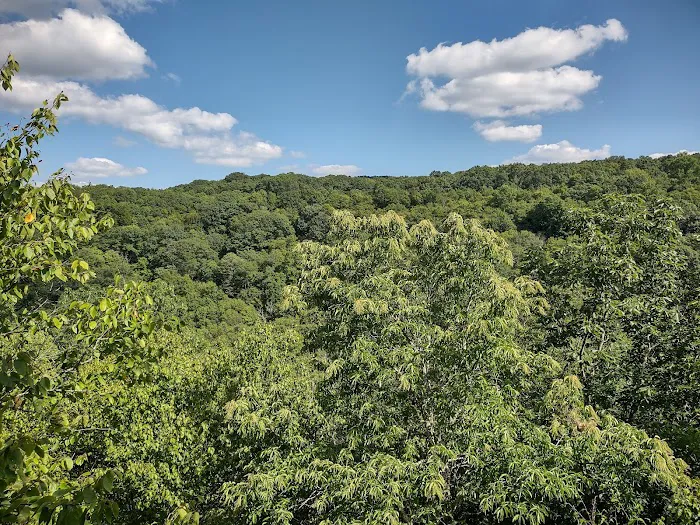 Babcock State Park Campground Picture 8