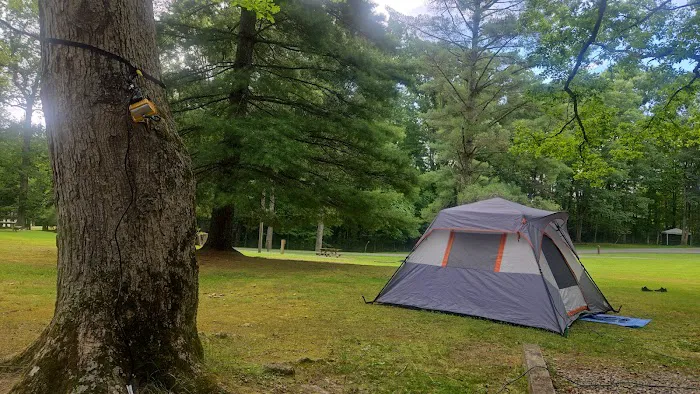 Babcock State Park Campground Picture 3