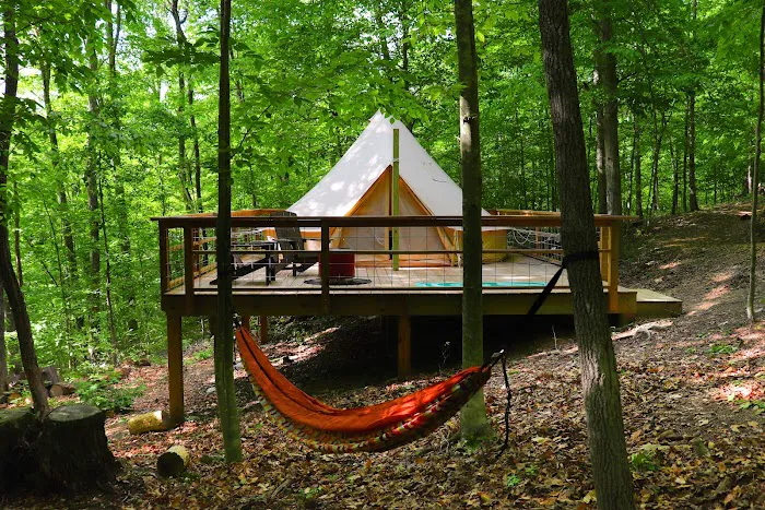 The Hill - New River Gorge Picture 4