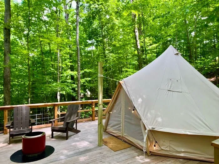 The Hill - New River Gorge Picture 9