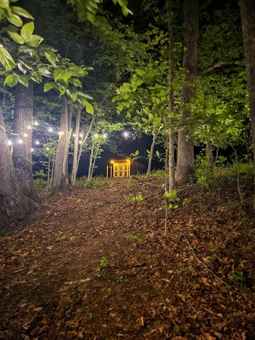 The Hill - New River Gorge Picture 5