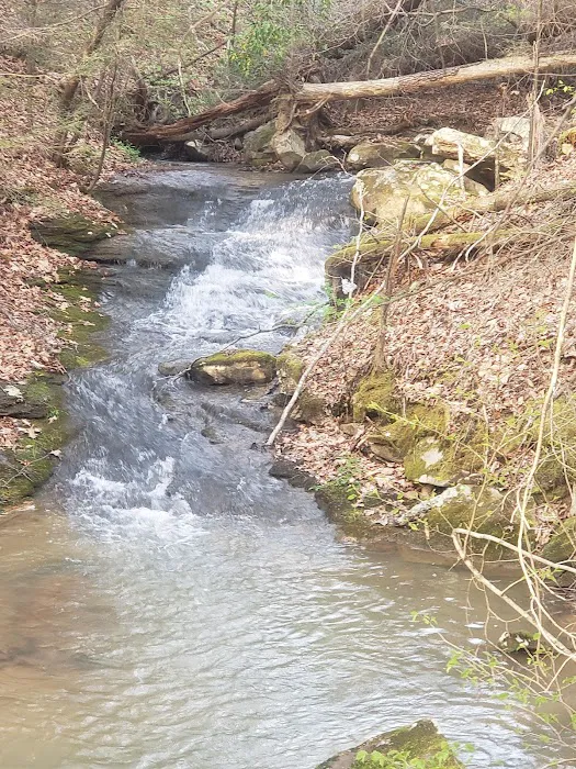 Beech Bottom Camping Area Picture 2