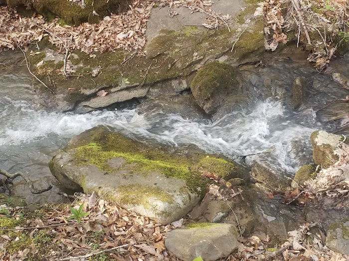 Beech Bottom Camping Area Picture 1