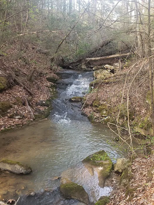 Beech Bottom Camping Area Picture 3