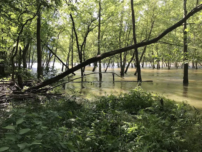 Stone Cliff Campground Picture 2