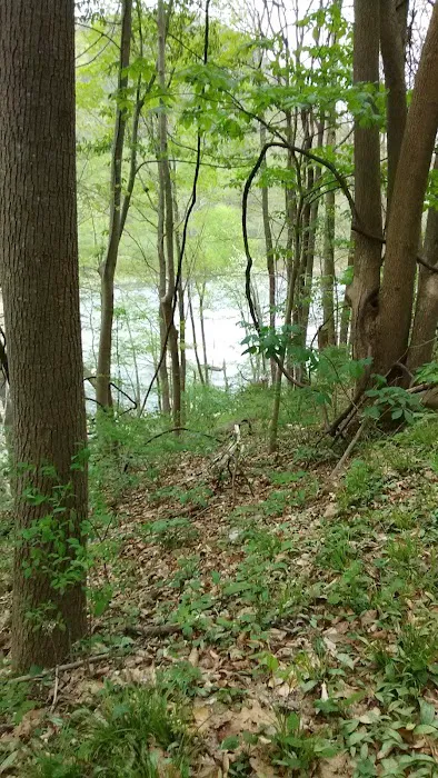 Stone Cliff Campground Picture 4