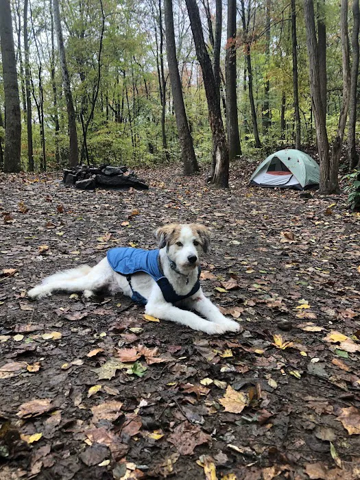 Stone Cliff Campground Picture 7