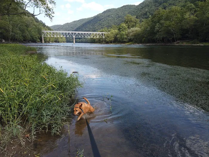 Stone Cliff Campground Picture 5