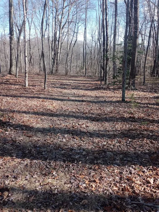 Midland Trail Campground Picture 3