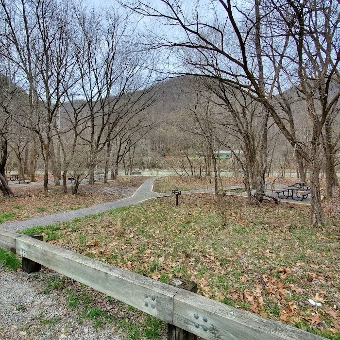 Army Camp Rd Campground Picture 4