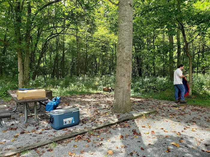 Army Camp Rd Campground Picture 7