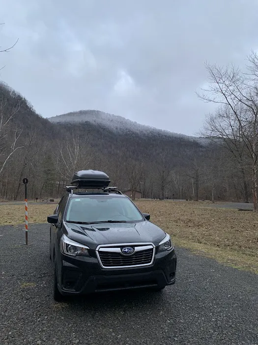 Army Camp Rd Campground Picture 10