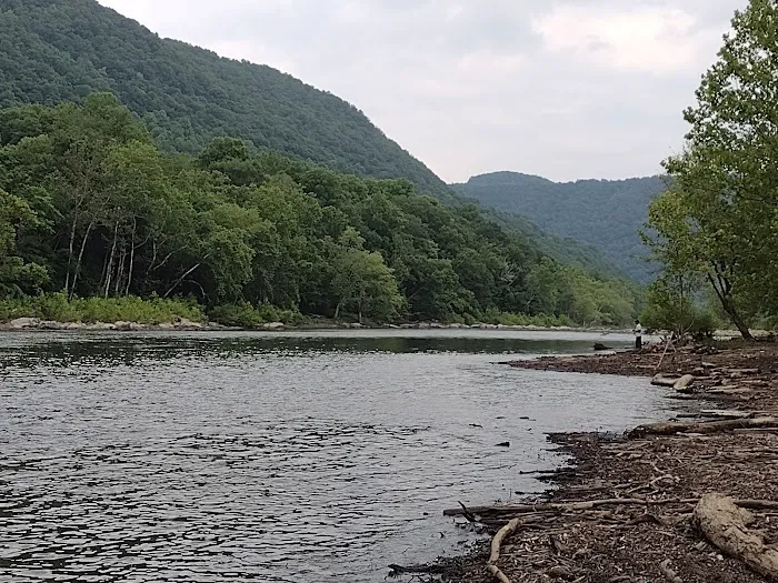 Army Camp Rd Campground Picture 2