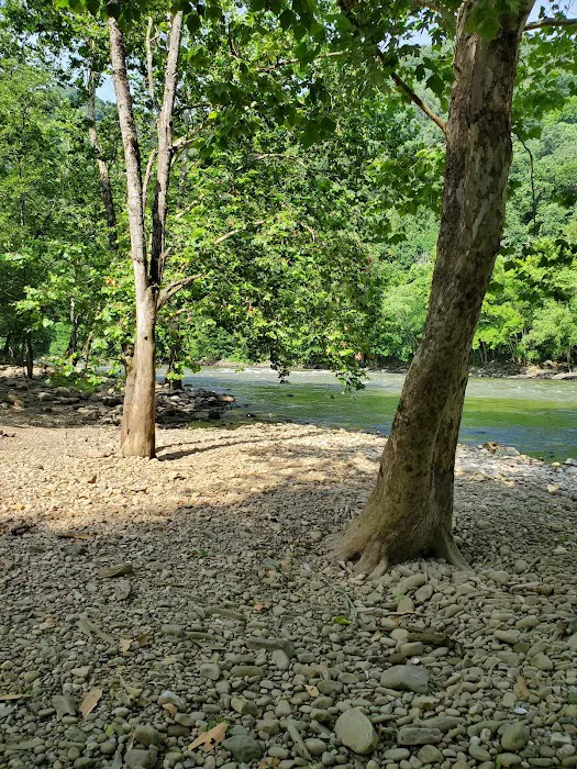 Army Camp Rd Campground Picture 6