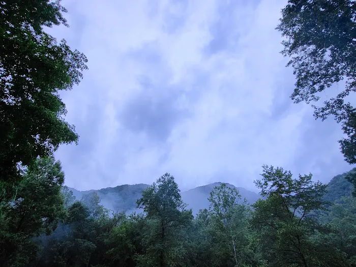 Army Camp Rd Campground Picture 9