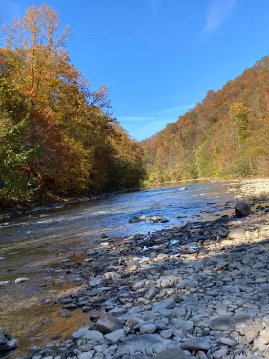 Hillbilly Rentals Resort & Campground Picture 3