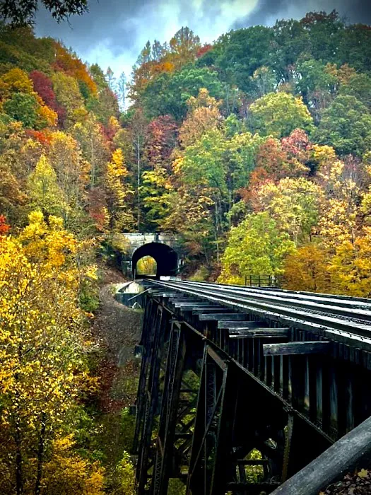 Hillbilly Rentals Resort & Campground Picture 1