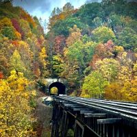 Hillbilly Rentals Resort & Campground ico