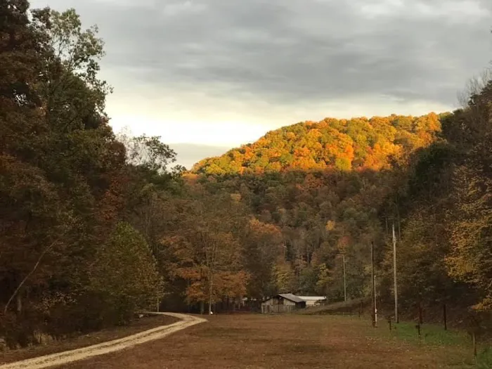 Third Hollow Farm Picture 10