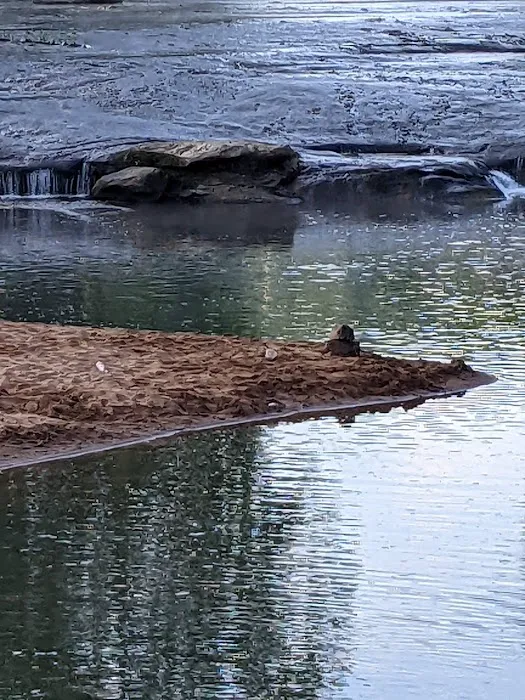 The Falls Campground Picture 6