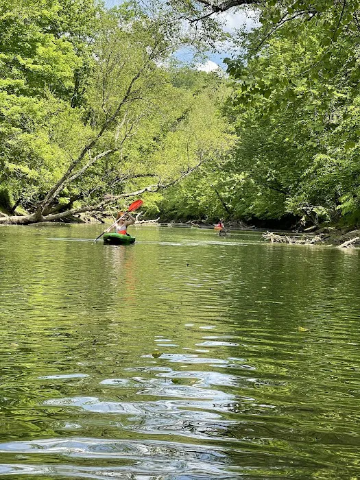 Creekside Cabins & RV Park Picture 10