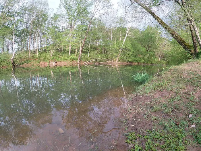 Creekside Cabins & RV Park Picture 4