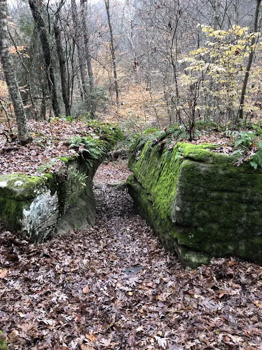 Grayson Lake Damsite Shelters Picture 10