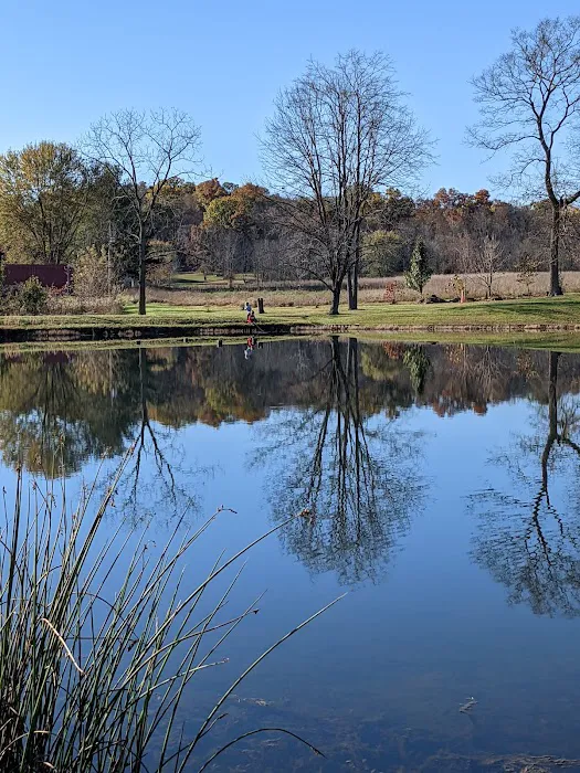 Sun Valley Campground Picture 1