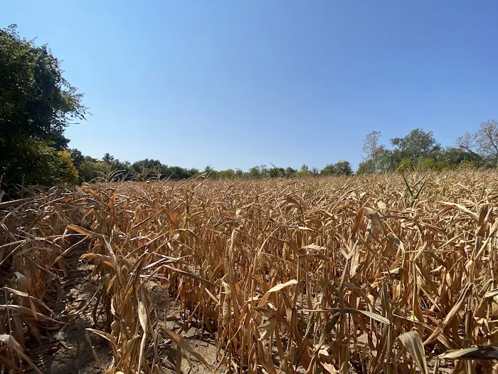 Camp Cattail Picture 6