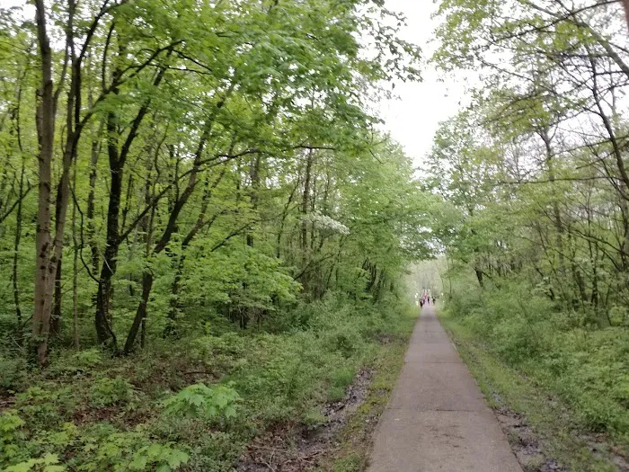 Camp Cattail Picture 7