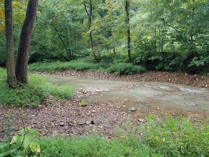 Tanglewood Acres Picture 4