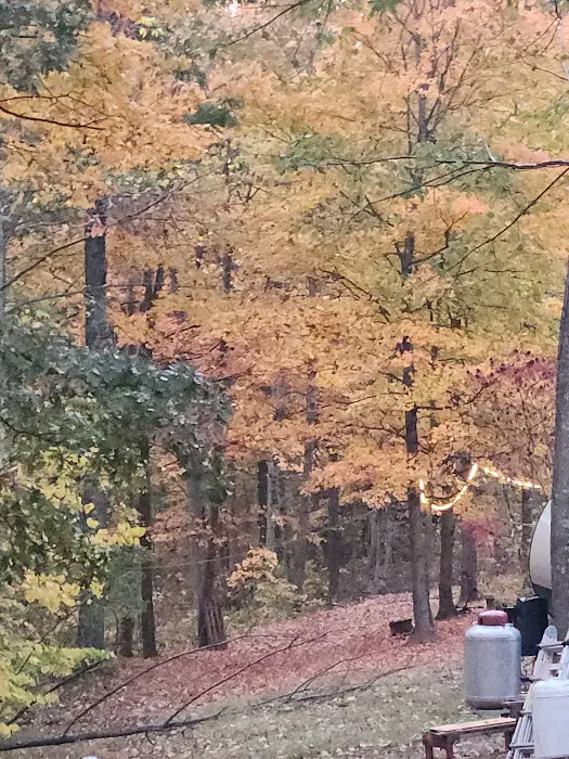 L B Camping Picture 1