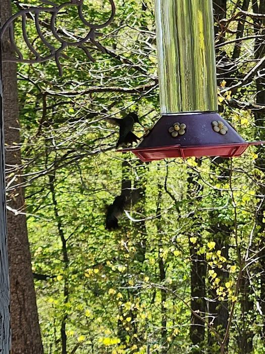 L B Camping Picture 4