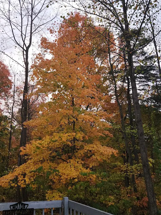 L B Camping Picture 8