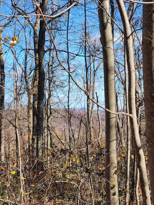 L B Camping Picture 10