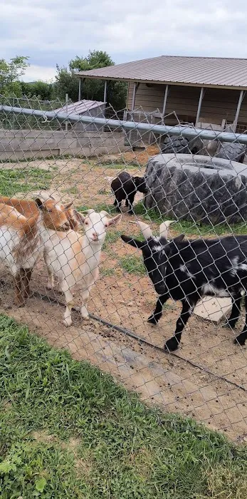 Walls Family Cabins, LLC Picture 5