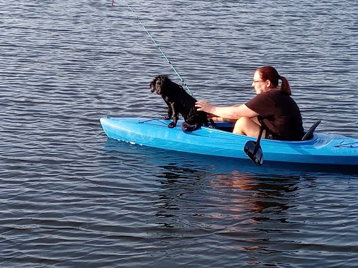 Walls Family Cabins, LLC Picture 2