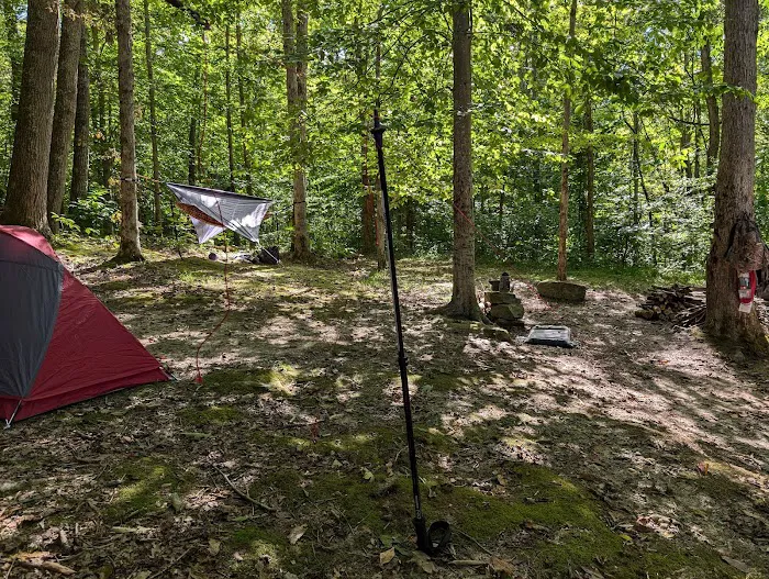 Johnson Homeplace Backcountry Campsite Picture 1