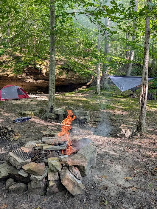 Johnson Homeplace Backcountry Campsite Picture 2